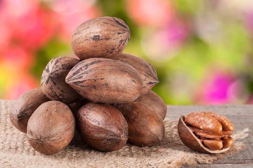 Benefits of Working Directly with Pecan Farmers When Buying Pecans for Industrial Markets